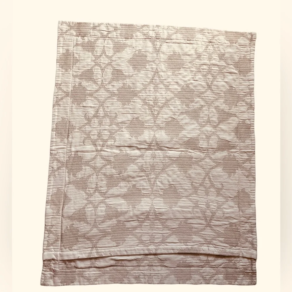 2 Pottery Barn textured pillow shams